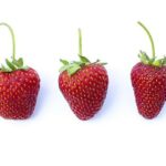 Zdravý makovec: Tradiční recept v zdravějším kabátě