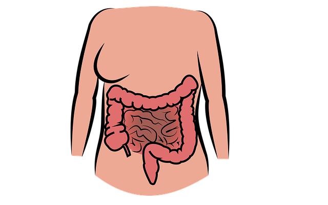 Celiak Leaky Gut: Jak Celiakie Ovlivňuje Váš Střevní Systém