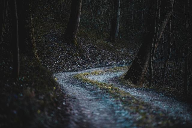 Vlastnosti a výhody kukuricného skrobu pro celiaky