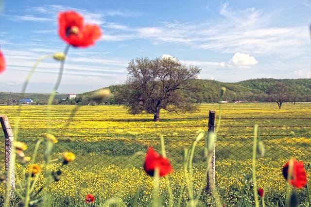 Doplňující nápady na vylepšení chuti a zdravotních benefitů vašich svačin