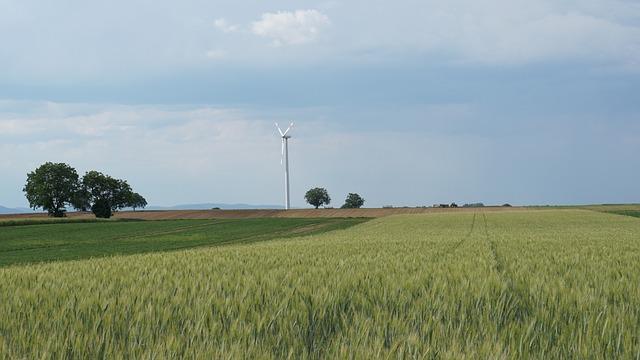 Energetické potraviny pro posílení svalů