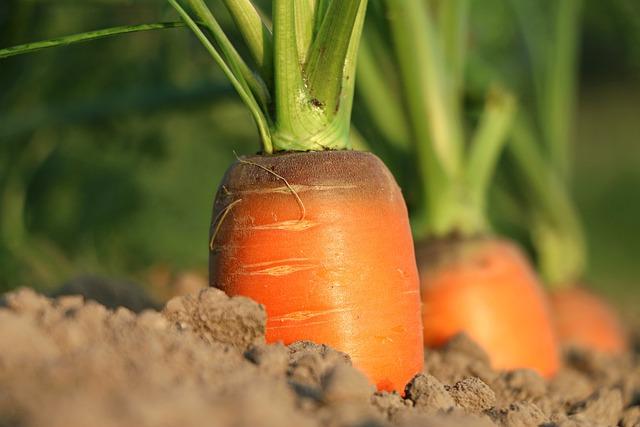 Mrkvové Řezy se Skořicovým Krémem: Paleo Recept na Sladký Dezert