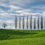 Podzimní Zelná Polévka: Paleo Recept na Hřejivou Večeři!