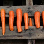 Kapustová Polévka: Paleo Recept na Tradiční Českou Polévku