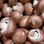 Nízkotučné pomazánky – zdravá a chutná volba