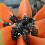 Zdravé snacky: Rychlé a zdravé mlsání pro každou příležitost 2 Zdravé snacky: Rychlé a zdravé mlsání pro každou příležitost