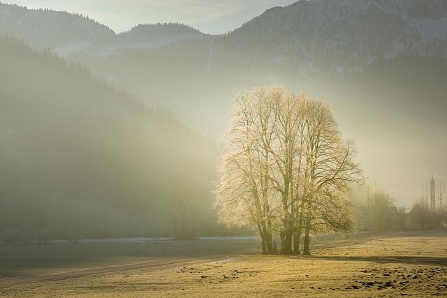 Jak dodat do ranního jídelníčku potřebné živiny pro celodenní energii?