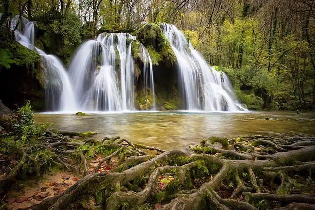 Jaká je Aktuální Vědecká Poznání ohledně Kuskusu Lepku?